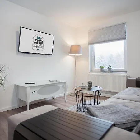 Modern In Neuastenberg Near The Ski Area With Private Terrace