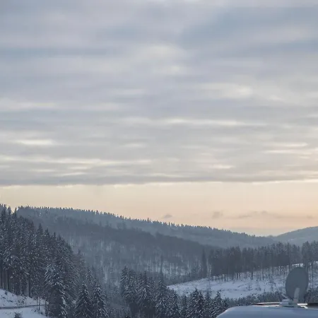 Modern In Neuastenberg Near The Ski Area With Private Terrace *